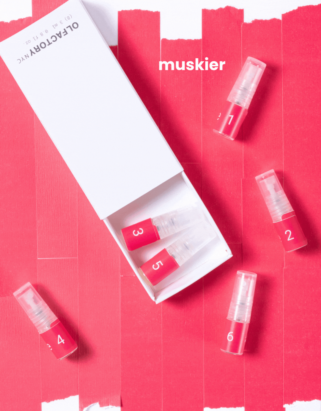 Tinkerer Box
